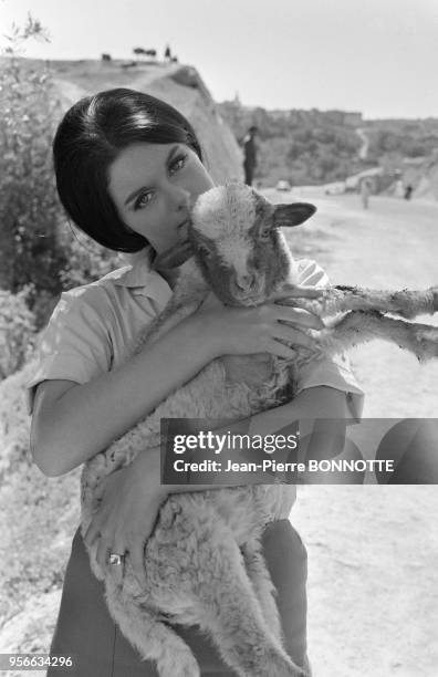 Annie Duperey pose sur le tournage du film 'L'homme qui valait des milliards' réalisé par Michel Boisrond en 1967, Maroc.