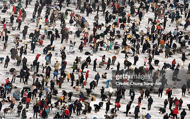 South Korean anglers cast lines through holes into a frozen river during a contest to catch Mountain Trout on January 9, 2010 in Hwacheon-gun, South...