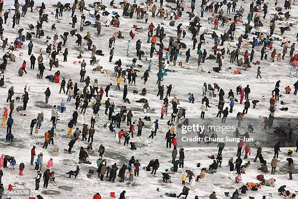 South Korean anglers cast lines through holes into a frozen river during a contest to catch Mountain Trout on January 9, 2010 in Hwacheon-gun, South...