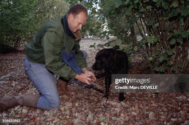 Ramasseur de truffe fraîche avec son chien en Bourgogne le 4 octobre 1999, France.