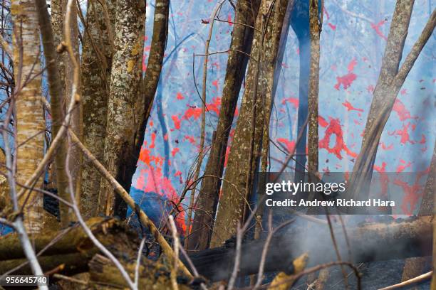 Lava is seen coming from a fissure on May 8, 2018 in Leilani Estates, Hawaii. The first Hawaiian house was consumed this week by the months-long,...