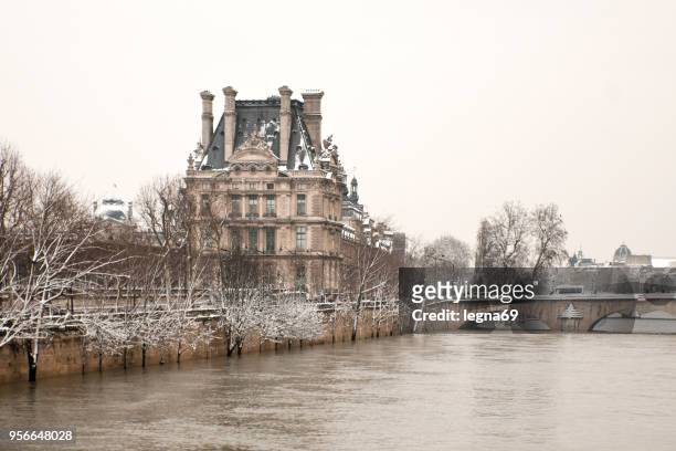 paris : snow and seine flood - bokeh museum stock pictures, royalty-free photos & images