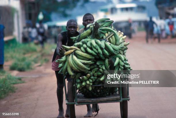 Vendeurs de bananes sur le marché du kilomètre 5 à Brazzaville en septembre 1976, Congo.