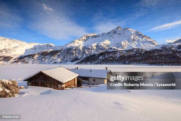 alpine chalet, maloja, switzerland - paesaggi 個照片及圖片檔