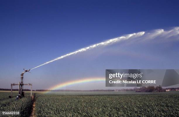 Champ cultivé arrosé par un système automatique en raison de la sécheresse en avril 1997 en France.