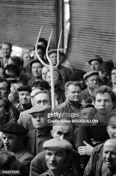 Agriculteurs manifestant contre l'élargissement de la Communauté Economique Européenne et pour une politique de prix garantie, Toulouse le 9 avril...