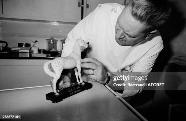 Un médecin examine une statuette comprenant les points d'acupuncture du cheval, Paris le 5 mai 1976.