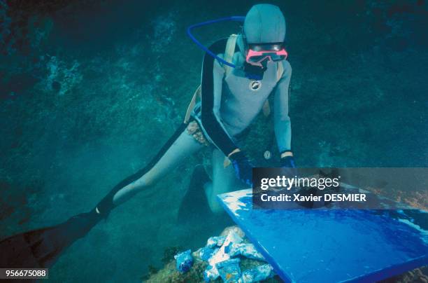 Le peintre français André Laban peignant sous l'eau, en France.