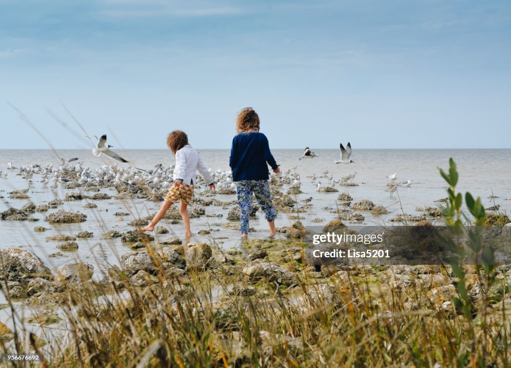 Seascape and Sisterhood