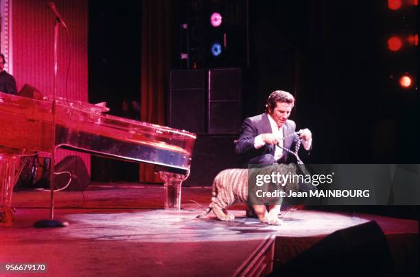 Le chanteur français Gilbert Bécaud avec un bébé tigre sur scène, en janvier 1985, France.