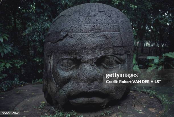 Tête colossale olmeque de "la Venta" en octobre 1982 à Vera Cruz, Mexique.