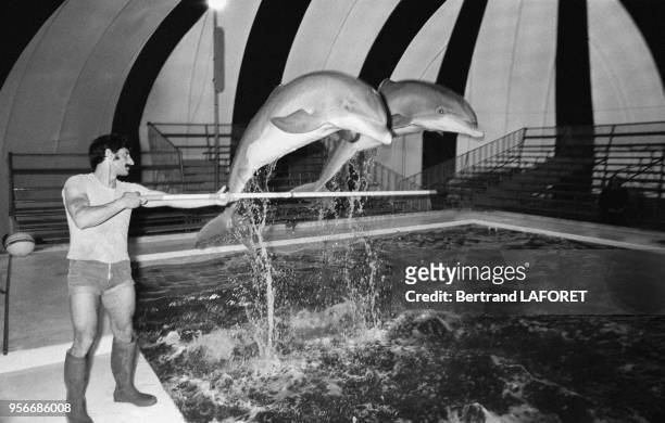 Dresseur de dauphins dans un parc d'attractions à Paris en septembre 1976, france.
