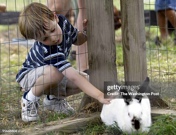 Daniel Balmer reaches out to pet the rabbit at the Fairfax County 4-H Fair and Fryinng Pan Park Farm Show Sunday afternoon in Herndon, VA.