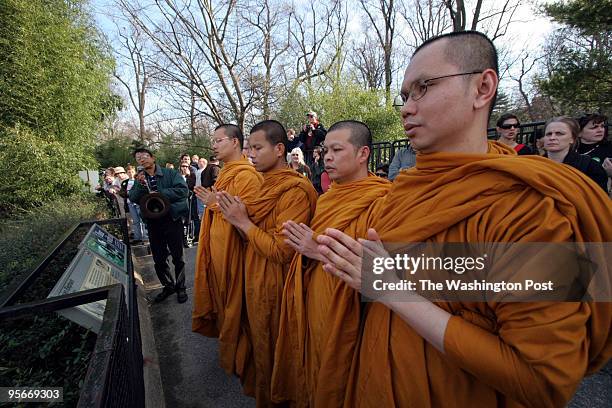 Buddhist monks from the Wat Thai Center in Silver Spring, MD came to the Smithsonian National Zoological Park Saturday afternoon to offer a blessing...