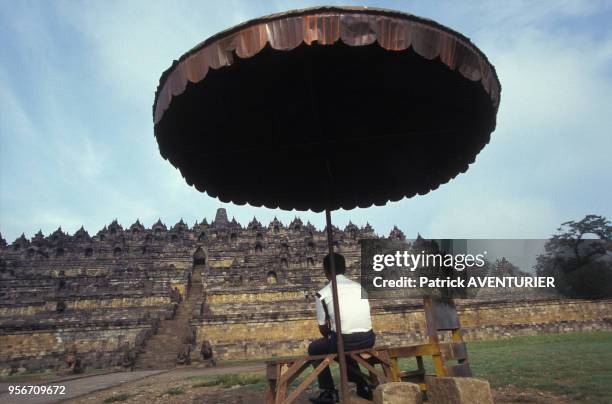 Vue d'ensemble du temple bouddhique sur l'île de Java en juillet 1998, Indonésie.