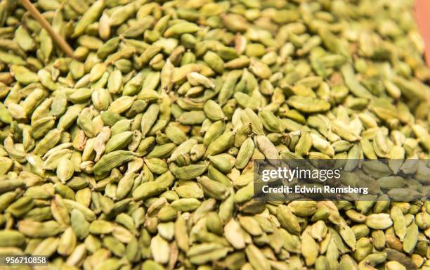 cardamom - cardamom stock-fotos und bilder