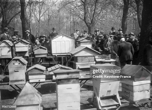 Monsieur Mamelle, professeur de l'Ecole de Grignon, faisant son cours gratuit sur l'apiculture dans les jardins du Luxembourg à Paris, France le 10...