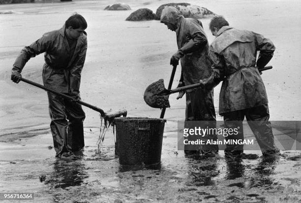 Des soldats du 41ème régiment d'infanterie ramassent le pétrole sur les plages de Trégastel lors de la marée noire causée par le navire 'Tanio' le 12...