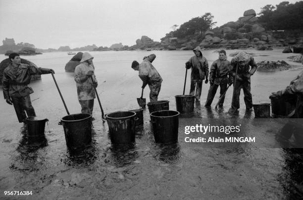 Des soldats du 41ème régiment d'infanterie ramassent le pétrole sur les plages de Trégastel lors de la marée noire causée par le navire 'Tanio' le 12...