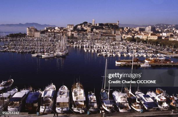 Le port de Cannes, le 3 juin 1989, dans les Alpes-Maritimes, France.