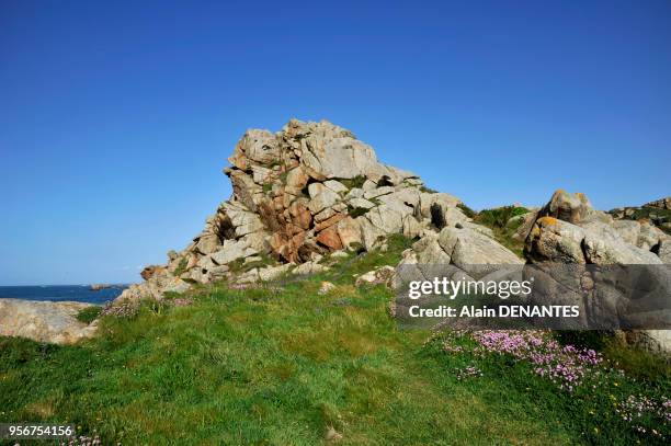 Paysage de bord de mer en Bretagne, cote rocheuse, le 3 Juin 2015 à la pointe de Primel sur la commune de Plougasnou, Finistère, Ouest de la France.