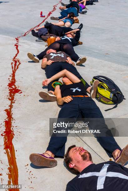 Militants du 'Collectif Unitaire 69' défenseurs des droits des intermittents du spectacle se sont allongés derrière une ligne rouge tracée sur le sol...