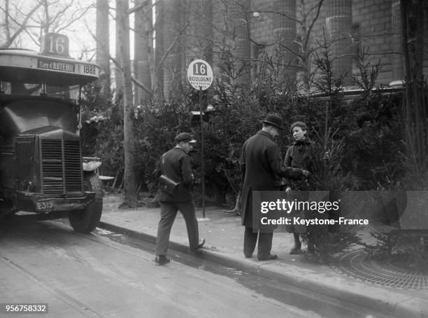 Femme choisissant un sapin de Noël dans le quartier de la Madeleine à Paris, France, en décembre 1934.