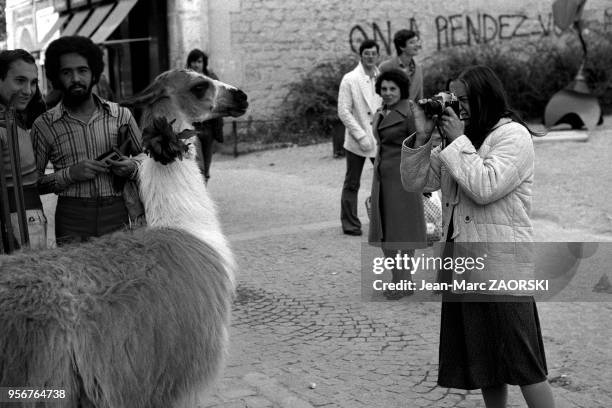 Des passants regardent avec amusement un lama pendant qu'une jeune femme le prend en photo, Place Edmont Michelet, dans le quartier de Beaubourg le 3...