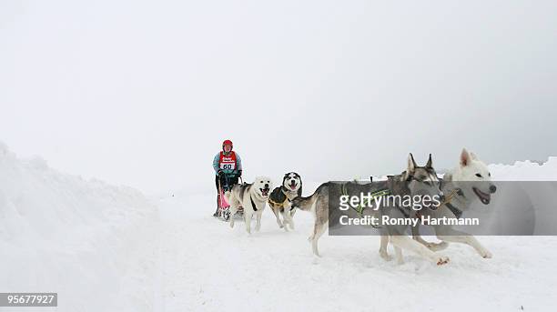Musher Ina Teschner rides her sled dogs during the 2010 Pullman City Quest on January 10, 2010 in Hasselfelde, Germany. The competition counts as one...