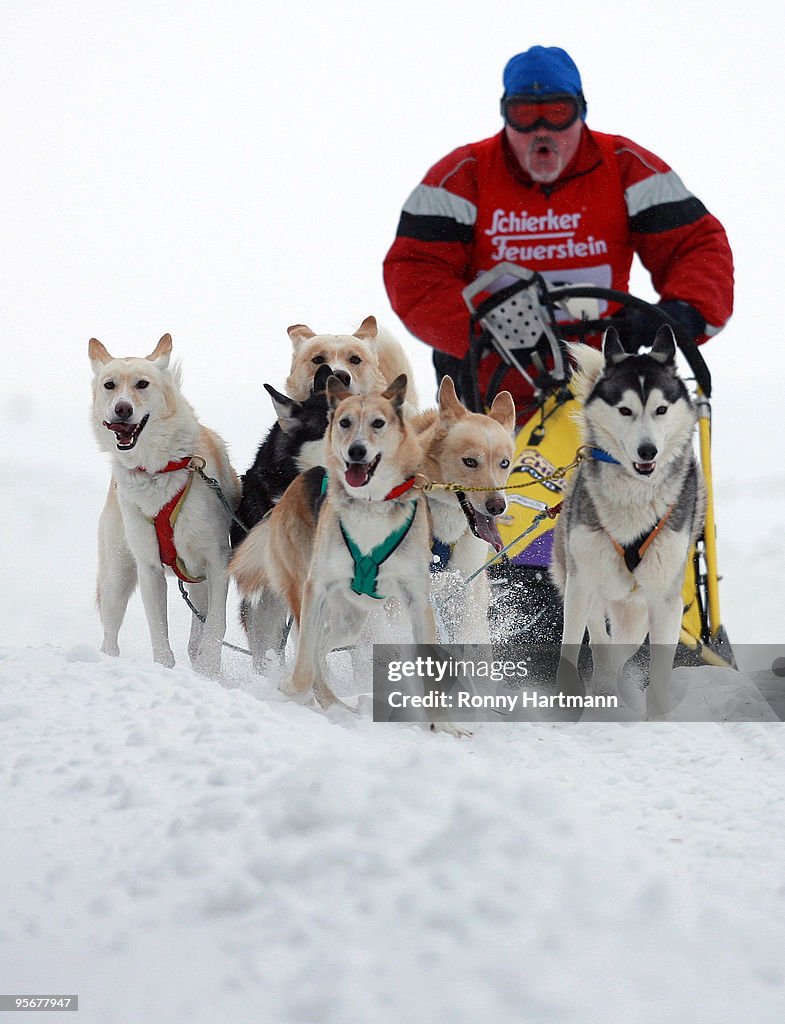 'Pullman City Quest' Dog Sled Race