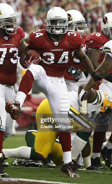 Running back Tim Hightower of the Arizona Cardinals celebrates a touchdown against the Green Bay Packers during the first quarter of the 2010 NFC...