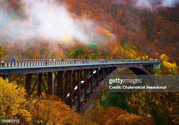 beautiful autumn scene in japan - 仙台 ストックフォトと画像