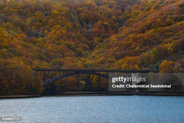 beautiful autumn scene in japan - 仙台 ストックフォトと画像