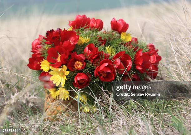 wild flowers in a basket standing on the ground - adone foto e immagini stock