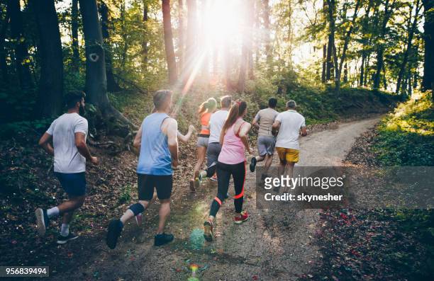 rear view of athletes running a marathon through the forest. - track event stock pictures, royalty-free photos & images