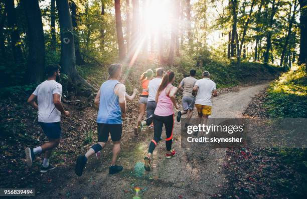 bakifrån av idrottare ett maratonlopp genom skogen. - running bildbanksfoton och bilder