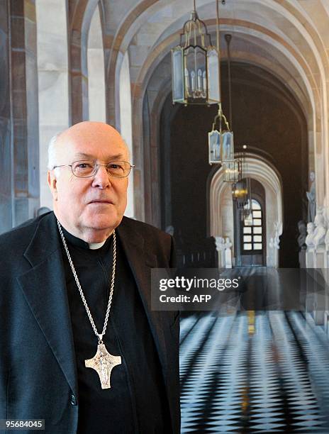 Belgian Cardinal Godfried Danneels poses as he presents his book 'Hoop, Geloof en Liefde' , during a press conference in Mechelen, on December 15,...