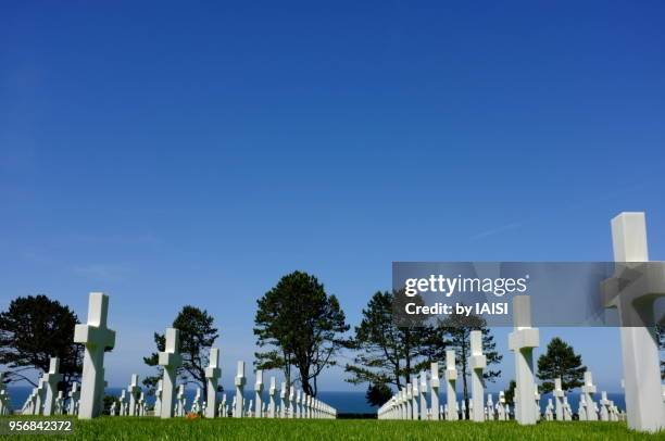 the crosses at the normandy american cemetery against sky at low angle view - normandy-american-cemetery-and-memorial stockfoto's en -beelden