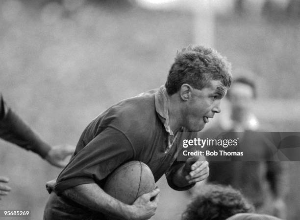 Peter Butler Rugby 11,854 Lansdowne Rugby Stock Photos, High-Res Pictures, and Images ...