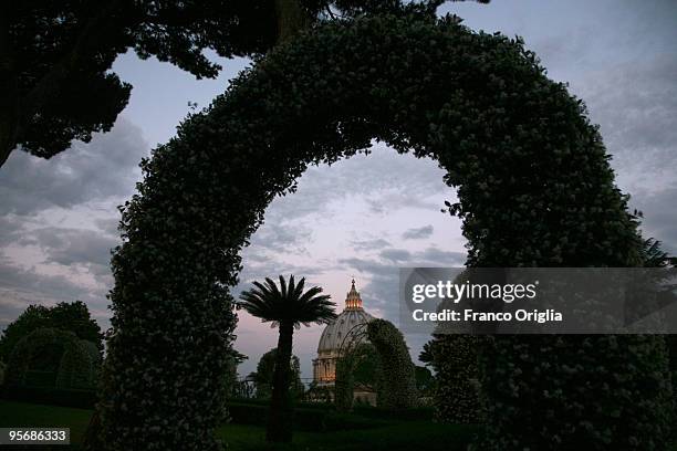 View of St. Peter's Basilica framed by the Vatican Gardens on May 30, 2009 in Vatican City, Vatican. The Vatican Gardens have been a place of quiet...