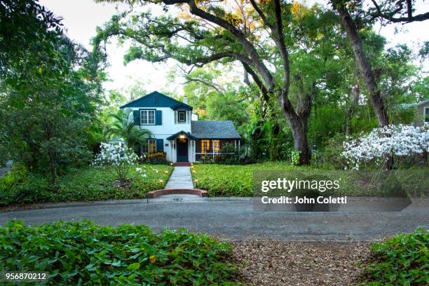 saint petersburg, florida, driftwood neighborhood - beautiful tree stock-fotos und bilder