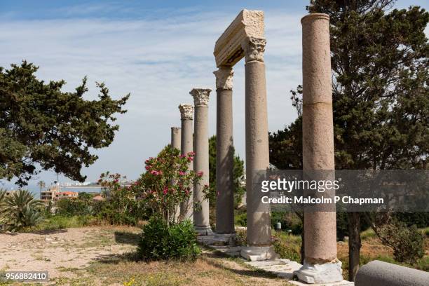 roman colonnade at byblos archaeological site, jbail, lebanon - byblos stockfoto's en -beelden