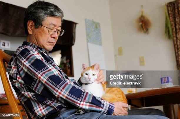 man en zijn kat - japanese ol stockfoto's en -beelden
