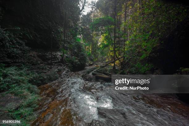 Spectacular wide view of Aek Martua waterfall on 10 May , 2018 in Rainforest Rokan Hulu district, Riau Province , Indonesia.