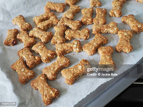 homemade dog biscuits on a baking tray - dog biscuit stock pictures, royalty-free photos & images