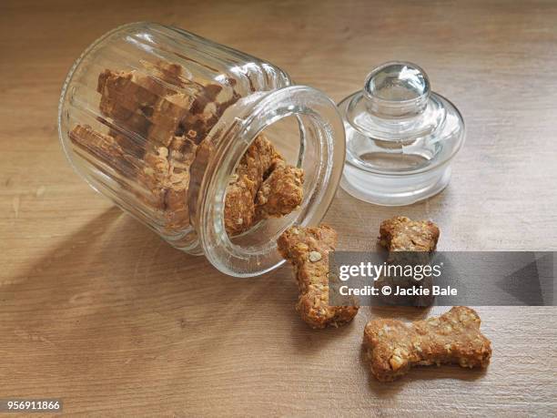 homemade dog biscuits in a glass jar - dog biscuit stock pictures, royalty-free photos & images