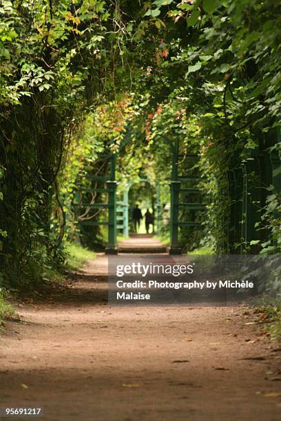 arched garden - petergof stock pictures, royalty-free photos & images