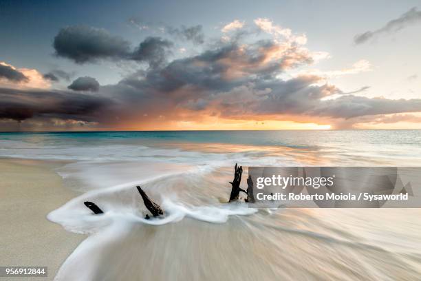 ffryers beach, antigua and barbuda - antigua leeward islands bildbanksfoton och bilder