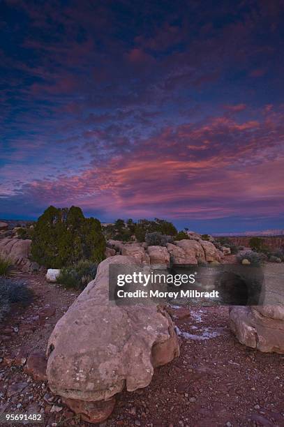 toroweap overlook,az - cinder cone volcano stock pictures, royalty-free photos & images