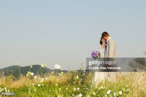 wedding - slovenia mountains stock pictures, royalty-free photos & images